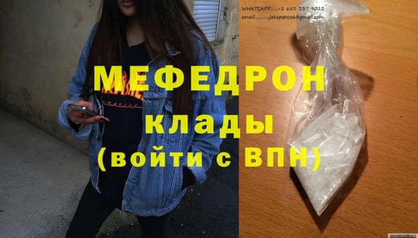 шишки Магас