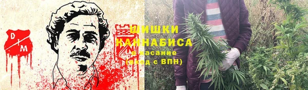 spice Магадан