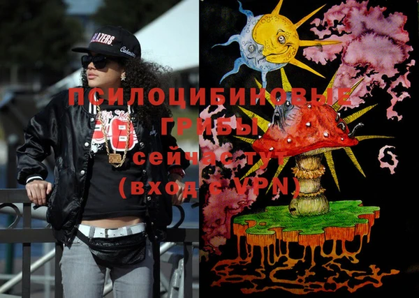 apvp Кулебаки