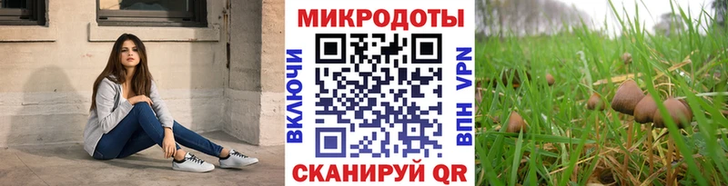 где купить наркоту  Мелеуз  Псилоцибиновые грибы прущие грибы 